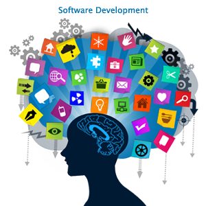 Customized Software Development